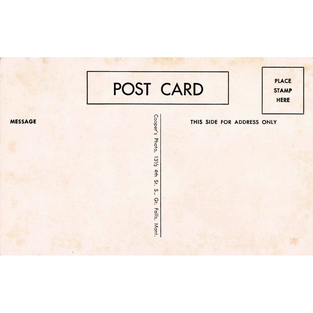 Vintage Lie Detector Cowgirl Postcard Coopers Photo Great Falls Montana Humor - Picture 2 of 2